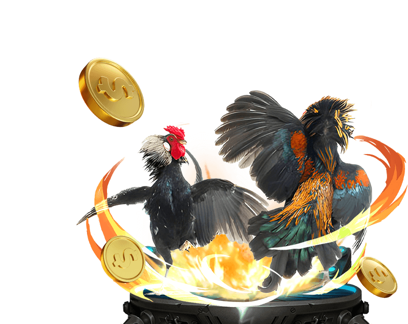 Đá Gà Trực Tuyến new.88